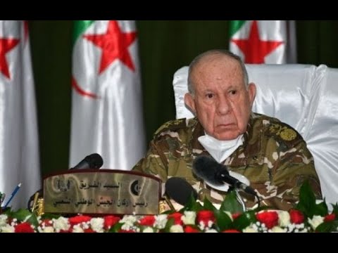 هل ما قاله شنقريحة يؤمن به