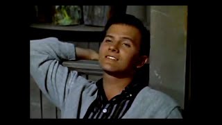 Pat Boone - Love Letters In the Sand (1957)(&#39;Bernadine&#39;)(stereo)