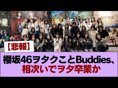 【悲報】櫻坂46ヲタクことBuddies、相次いでヲタ卒業か #櫻坂46 #櫻坂46の家