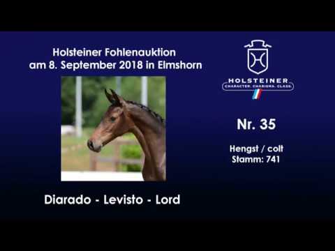 Holsteiner Fohlenauktion | Nr. 35 v. Diarado - Levisto