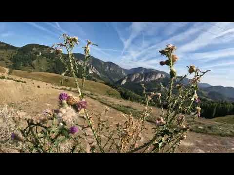 O plimbare pe TransApuseana part3