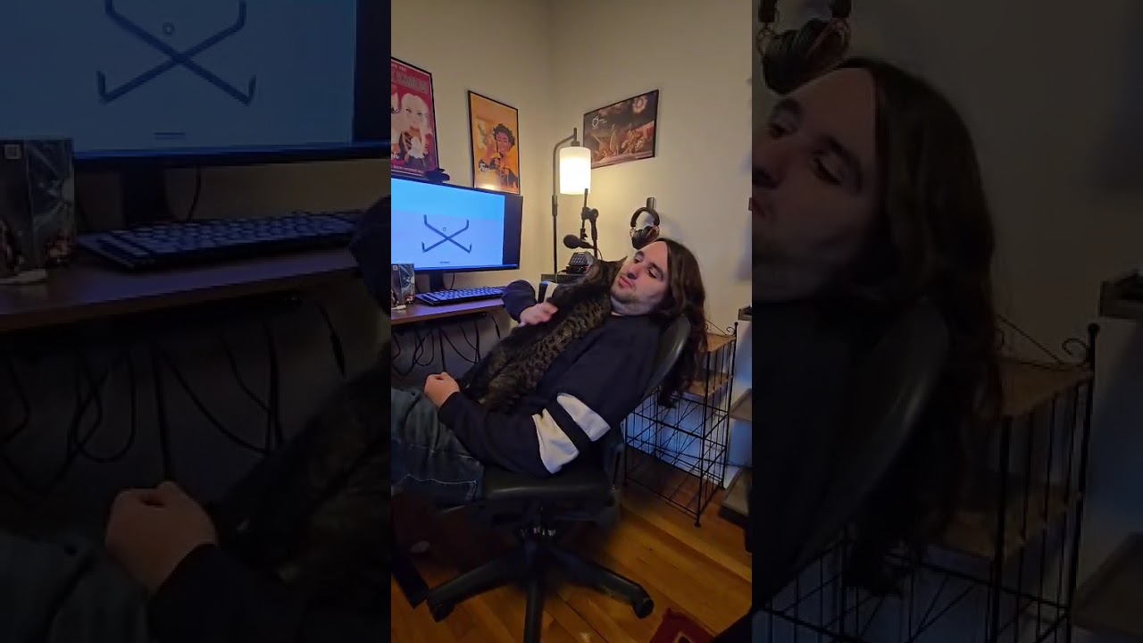 Enlarge K-Pop, a Adoptable Domestic Short Hair in New York, NY video 5/6