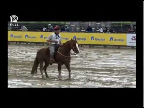 Aberta de Esteio – 1° lugar machos – Justiceiro do Mano a Mano