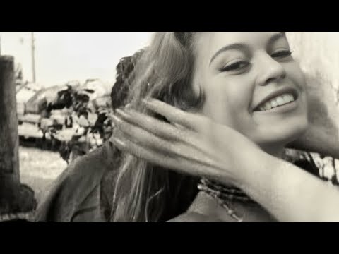 Documentaire Société and 2 more