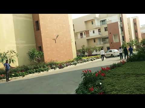 3D Tour Of Vedic Village Greentech City