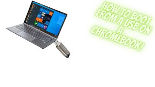 How to boot from a USB on chromebook