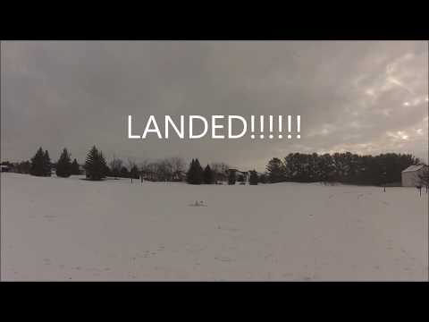 bushmule-on-skis