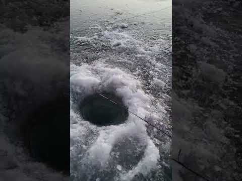 Recent Fishing Fail.#Hashtag Shorts.Ice Fishing