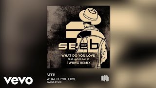 Seeb - What Do You Love (SWIING Remix) ft. Jacob Banks
