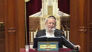 גמרא ומשנה| הרב  משה דנינו | מסכת סוכה - לו עמוד ב' - כו' טבת - תשפ"ה