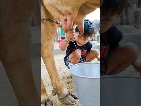 small girl yy rt t Yr t hh #love #song #elove