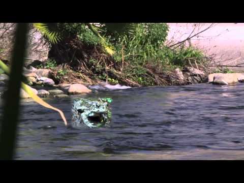 Look Again, Love Again for the LA River