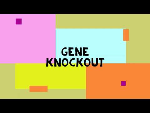 Gene Knockout, a method for deleting genes! (You won´t believe how easy it is)