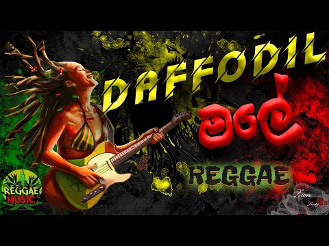 Daffodil Male Reggae Cover - @CeylonReelsSrilanka  & @RidmaKalubowilaMusic - Official Music Video