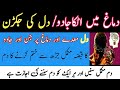 Jadu Se Jakra Huwa Dimage Her Hissa Kholne Ka Powerful Ruqyah Dam Brain Healing Strong Ruqyah