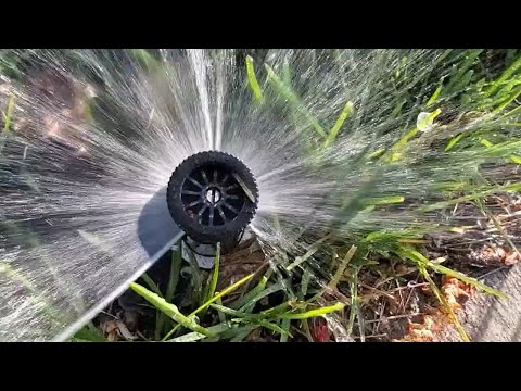 今は芝生に水をやる時期ではない、と政府が要請