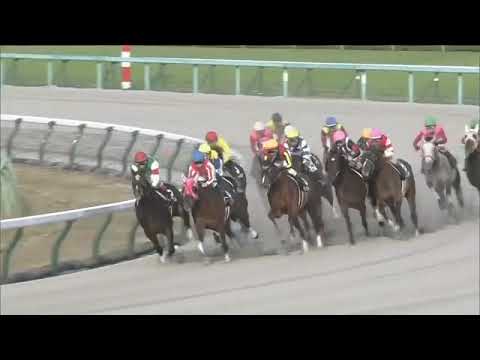 2021.11.14 Muromachi Stakes (JPN) - Dualist