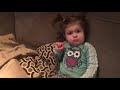 NO ELMO