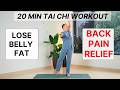20 Min Tai Chi Workout Burn Belly Fat Relieve Shoulder Pain Gentle Beginner Friendly