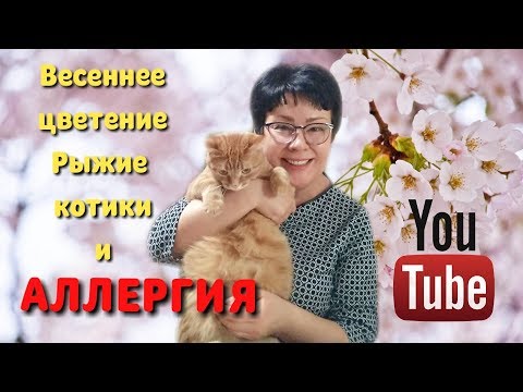 Природные средства от аллергии. Сибирское здоровье