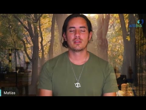 Day 346 TRUNK Alignment - Matias De Stefano - English Edit