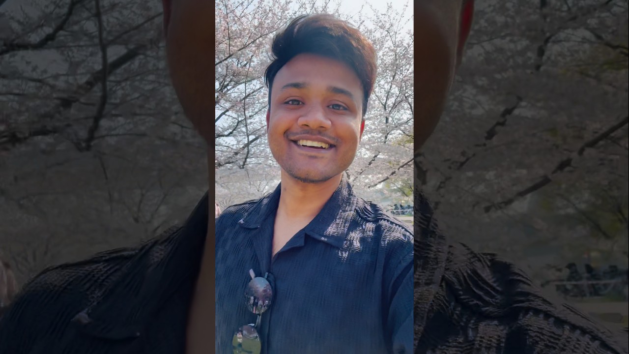 সব সাকুরা গাছ তুলে নিয়ে বাড়ি চলে যাব 😂 #japan #youtubeshorts  #shorts