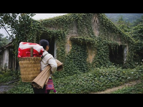 In an abandoned house that no one dared approach, a single mother discovered a precious treasure.