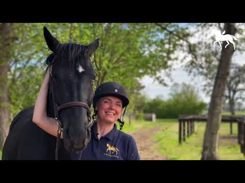 Sattelseminar • Sattelcheck • Sattelkurs • Reitsattel mit Klaudia Duif