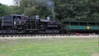 preview picture of video 'USA Steam 2010 - Cass Scenic Railroad'
