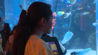 Download lagu Si otan mp3