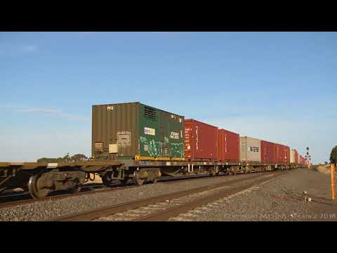 Broad Gauge "9101 Fruity" Container Train - PoathTV Australian Railways