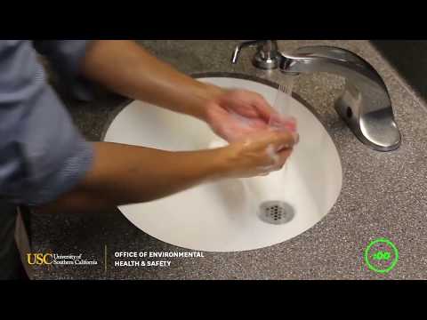 Clean Hands Keep You Healthy: USC EH&S Guide to Hand Washing
