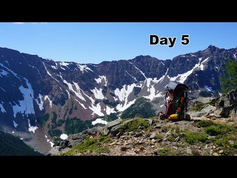 5 PCT - Wildflowers are AMAZING in Washington!!