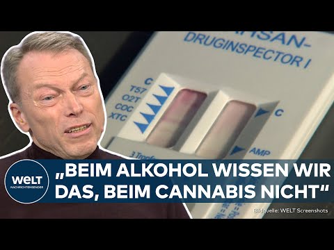 CANNABIS-LEGALISIERUNG: High auf dem Highway – Fachleute befürchten Zunahme von Verkehrsunfällen