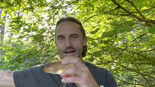 Revisiting Fear to Love – A Solar Plexus Technique Using Crystals