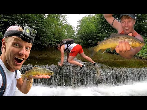 GROTE BEEKFORELLEN VANGEN MET ENZO KNOL!