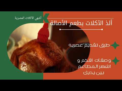 أشهي الآكلات المصرية (بدون نت)