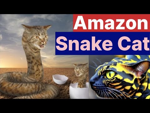 Amazon Snake Cat is Real or Fake