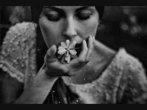 Parvin Cox | Ay Gegoom Ey