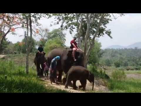 download lagu mp3 mp4 Out Adventures, download lagu Out Adventures gratis, unduh video klip Out Adventures