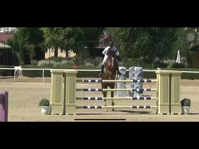 Osaka van de Engelbeek - 1m45