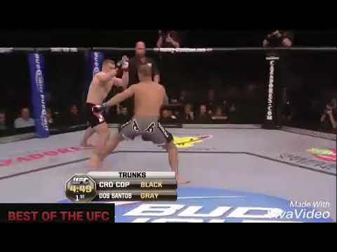 Cigano dos santos vs Mirko cro cop Highlights