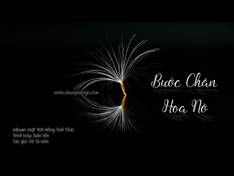 Bước chân hoa nở