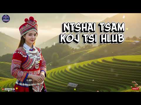 NTSHAI TSAM KOJ TSI HLUB COVER AI – Afraid You Might Not Love Me