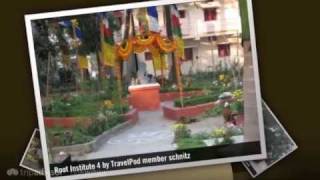 preview picture of video 'Root Institute - Bodh Gaya, Bihar, India'