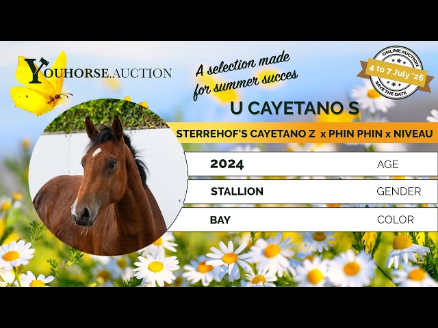 U Cayetano S