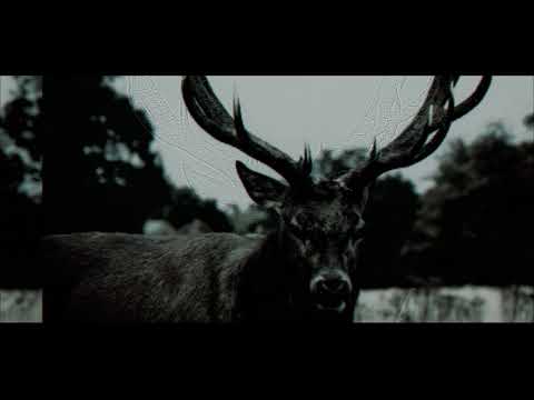 Experimental Video Edit