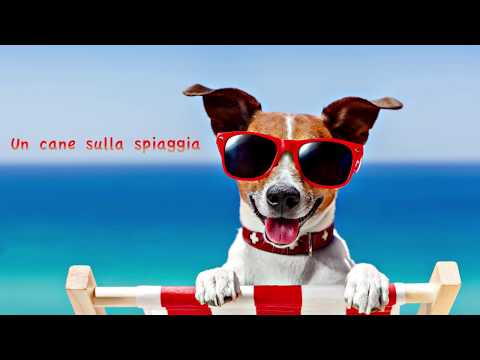 Un cane sulla  spiaggia - Bruno Costa