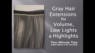 Gray Extensions for Volume, Low Lights & Highlights - E