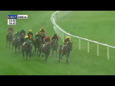 27.09.2020 (D36; G5; Tor: 4,1; 11°C) Nagroda Gazelli, Mlechy i Sahary (Oaks) - (kat.A)